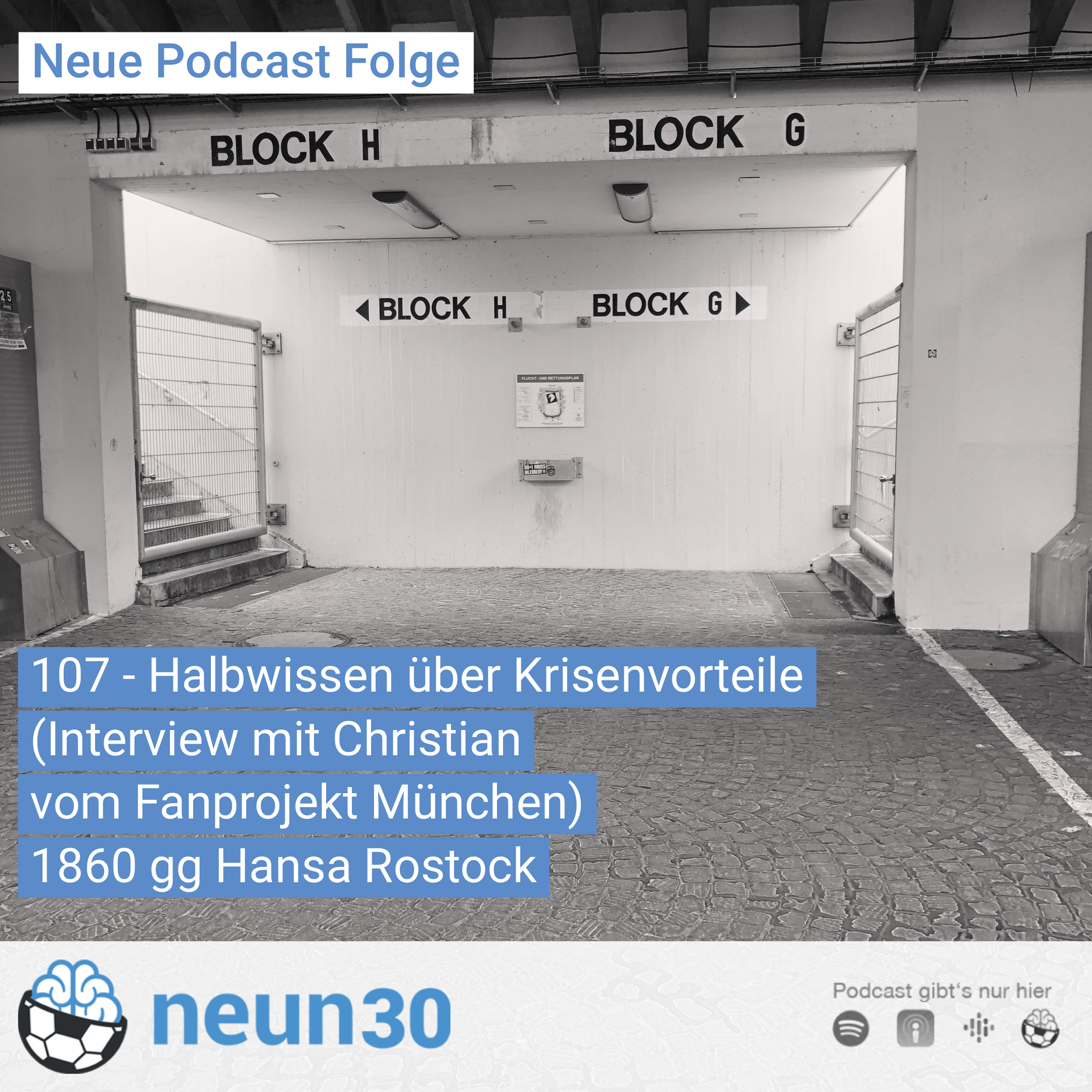 Halbwissen über Krisenvorteile 
(Christian vom Fanprojekt München) 
 TSV 1860 München gg Hansa Rostock