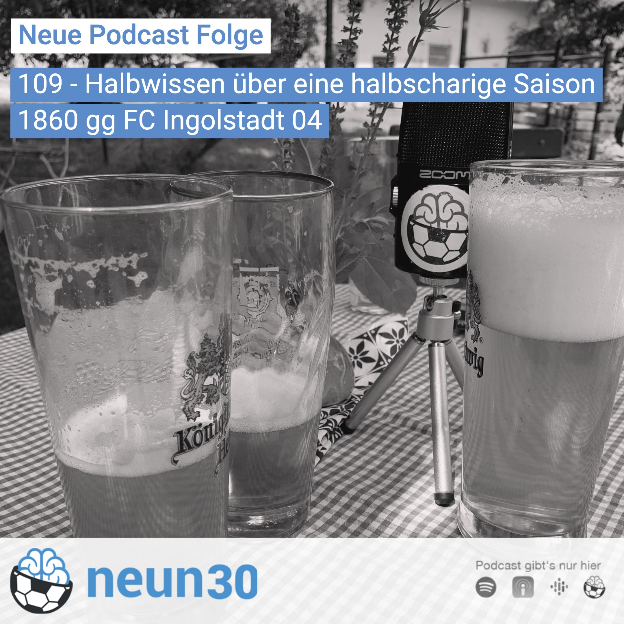Halbwissen über  eine halbscharige Saison