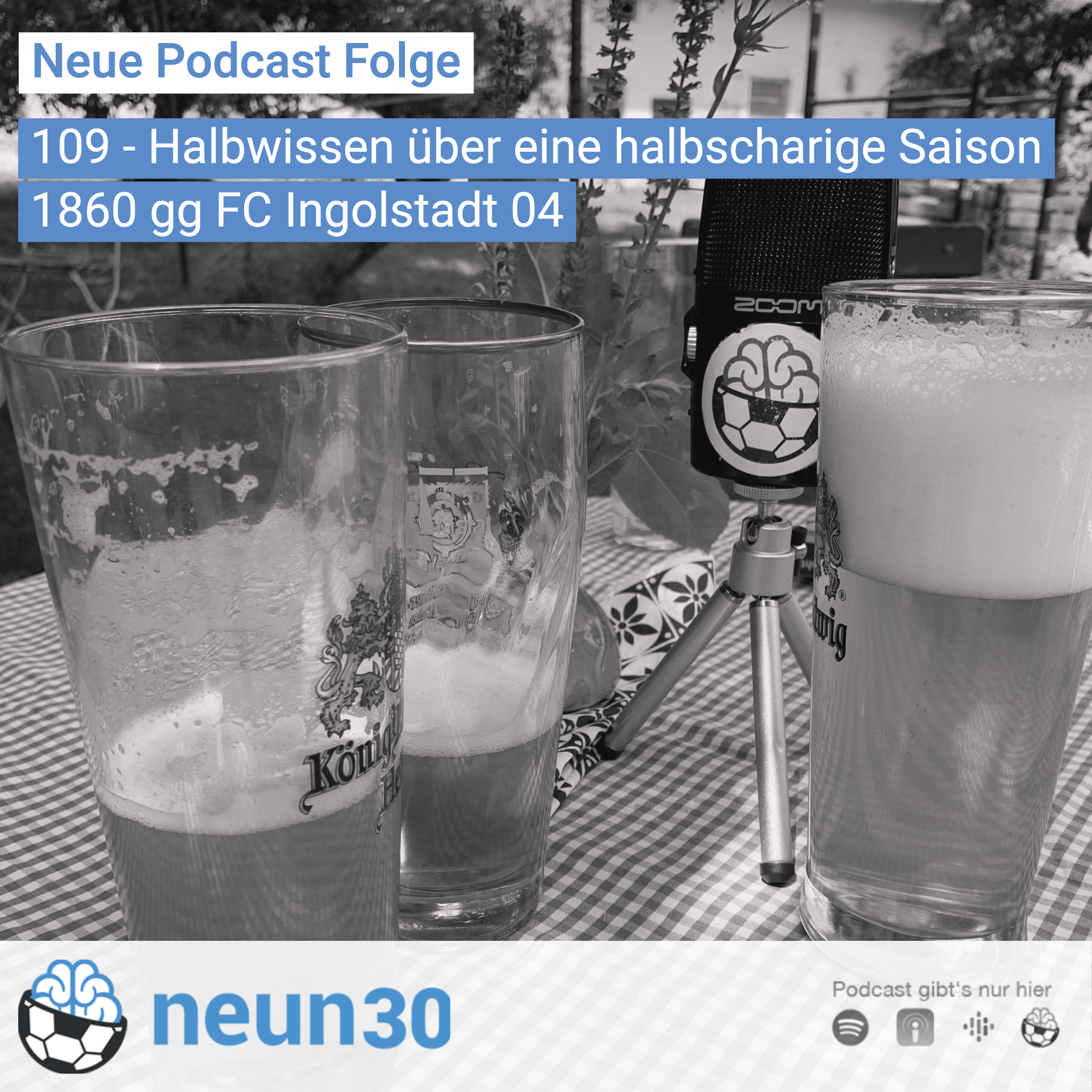 Halbwissen über  eine halbscharige Saison