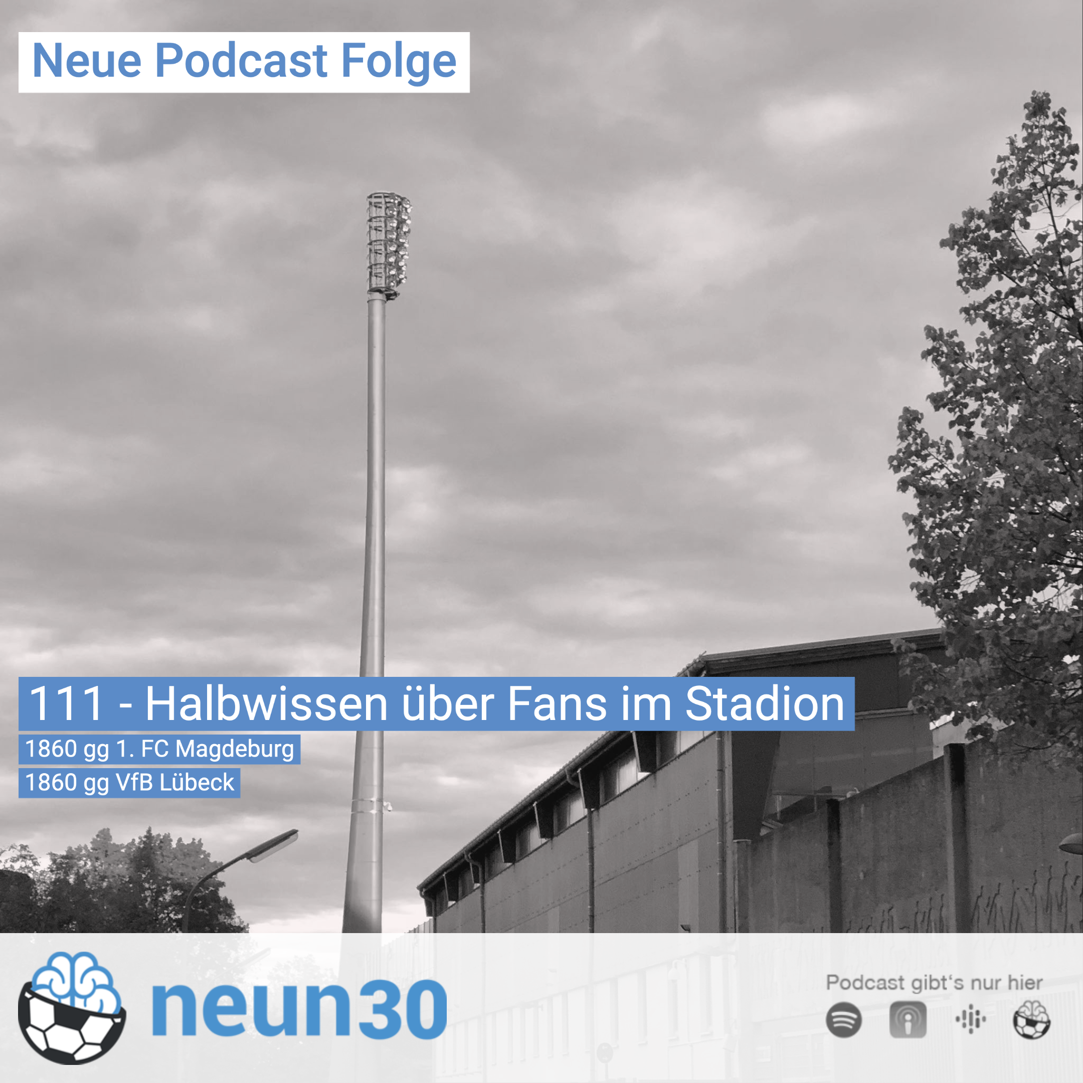 Halbwissen über Fans im Stadion (oder auch nicht)