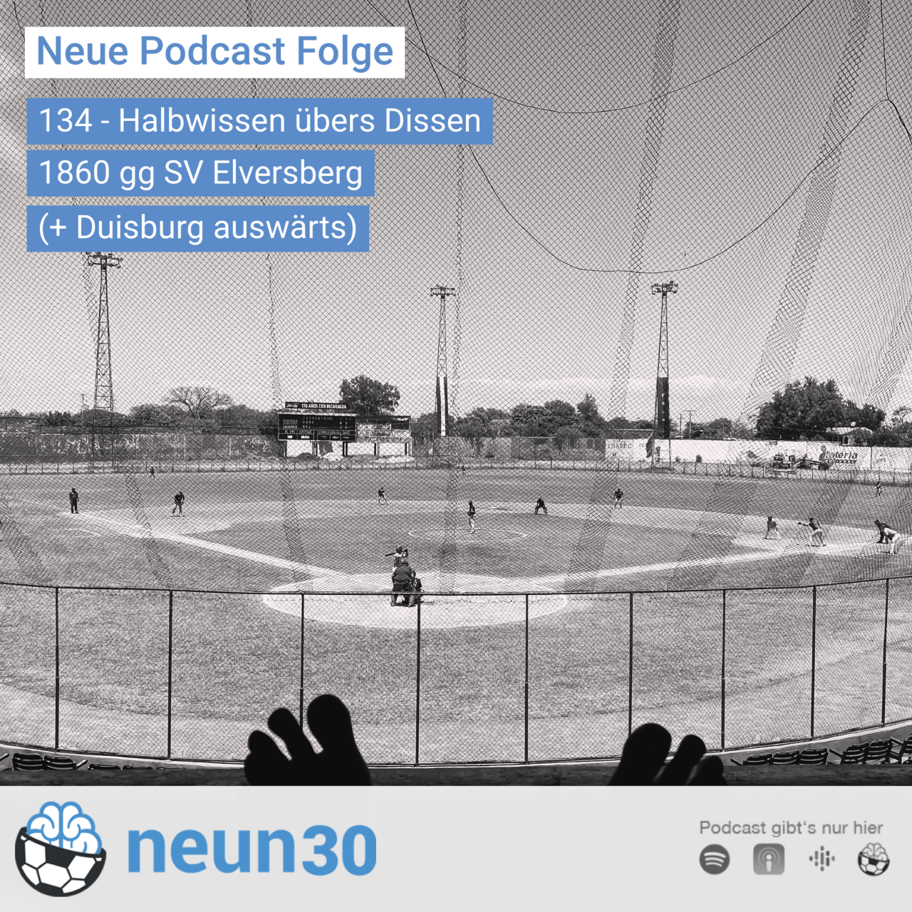 Halbwissen über Dissen