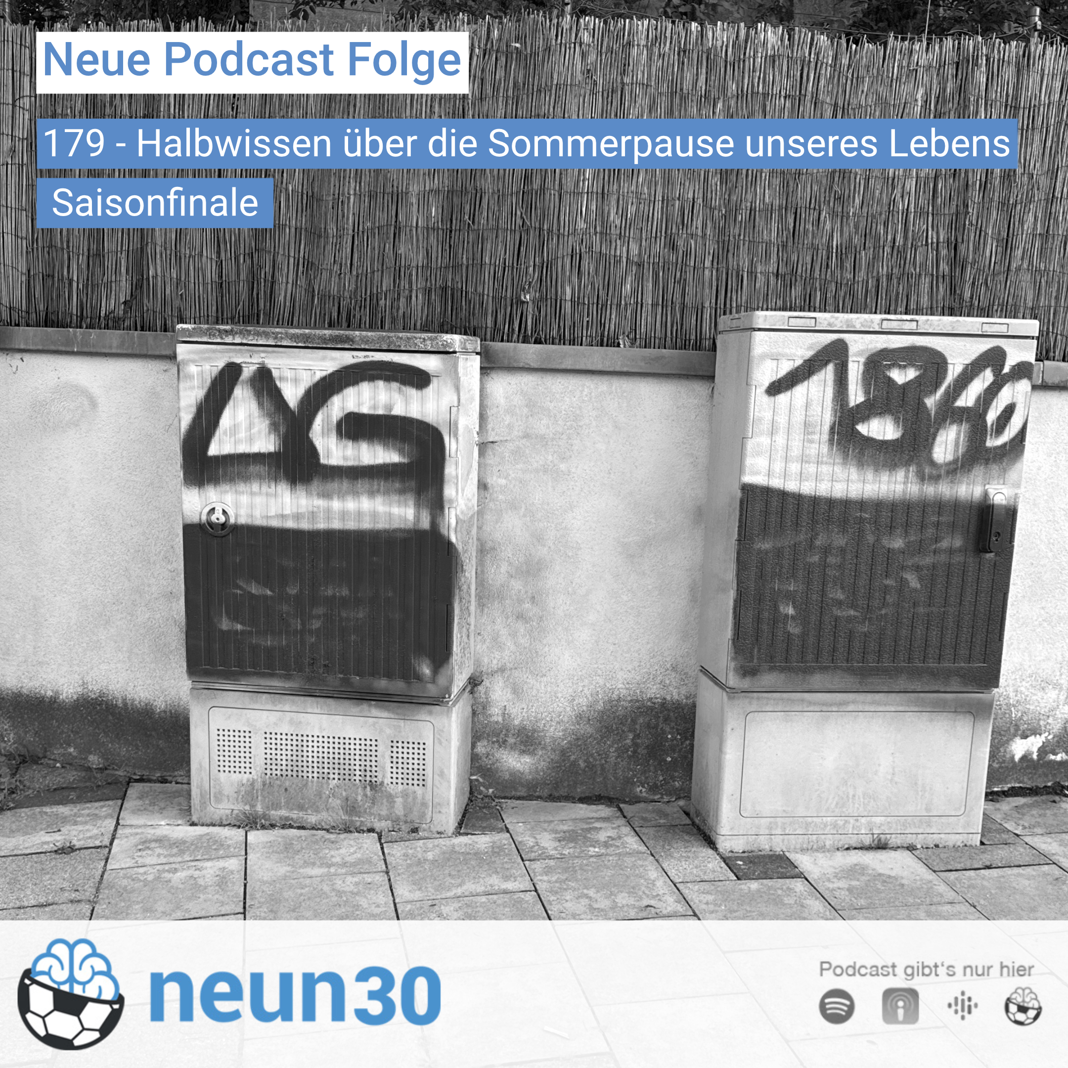 Halbwissen über die Sommerpause unseres Lebens