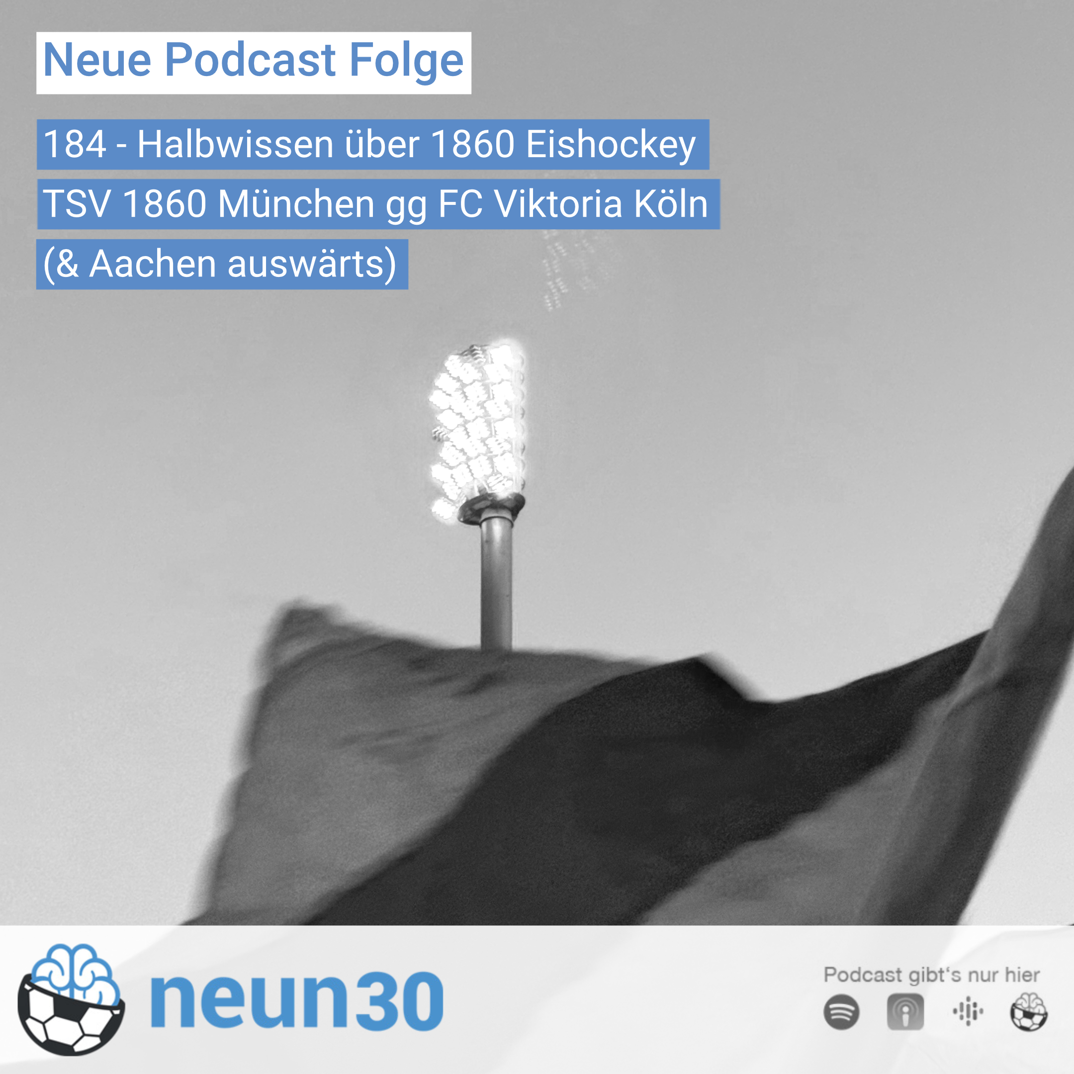 Halbwissen über 1860 Eishockey