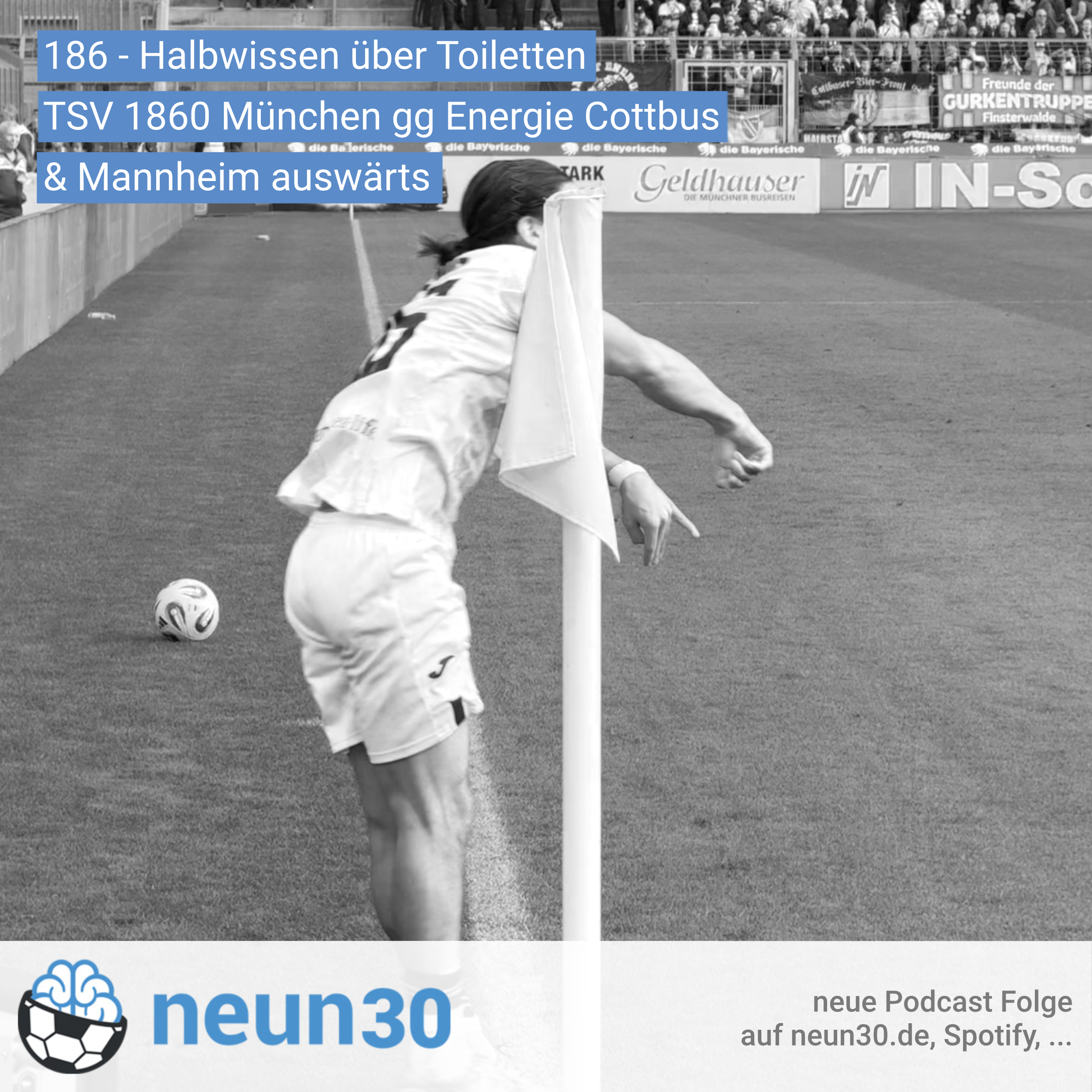 Halbwissen über Toiletten