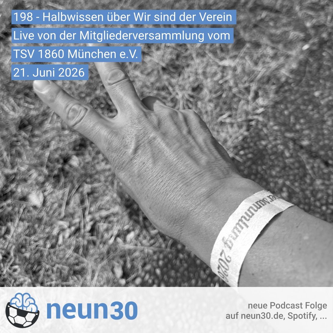 Halbwissen über Wir sind der Verein