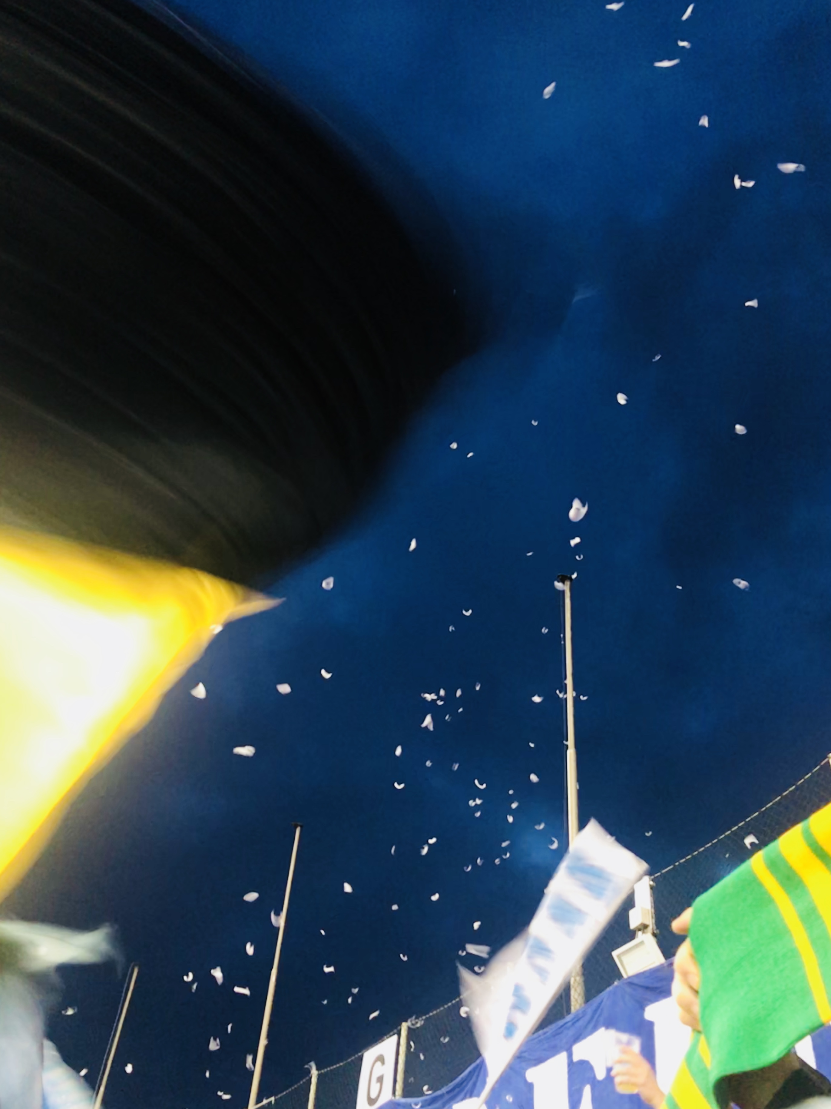 Halbwissen über Stadt und Land