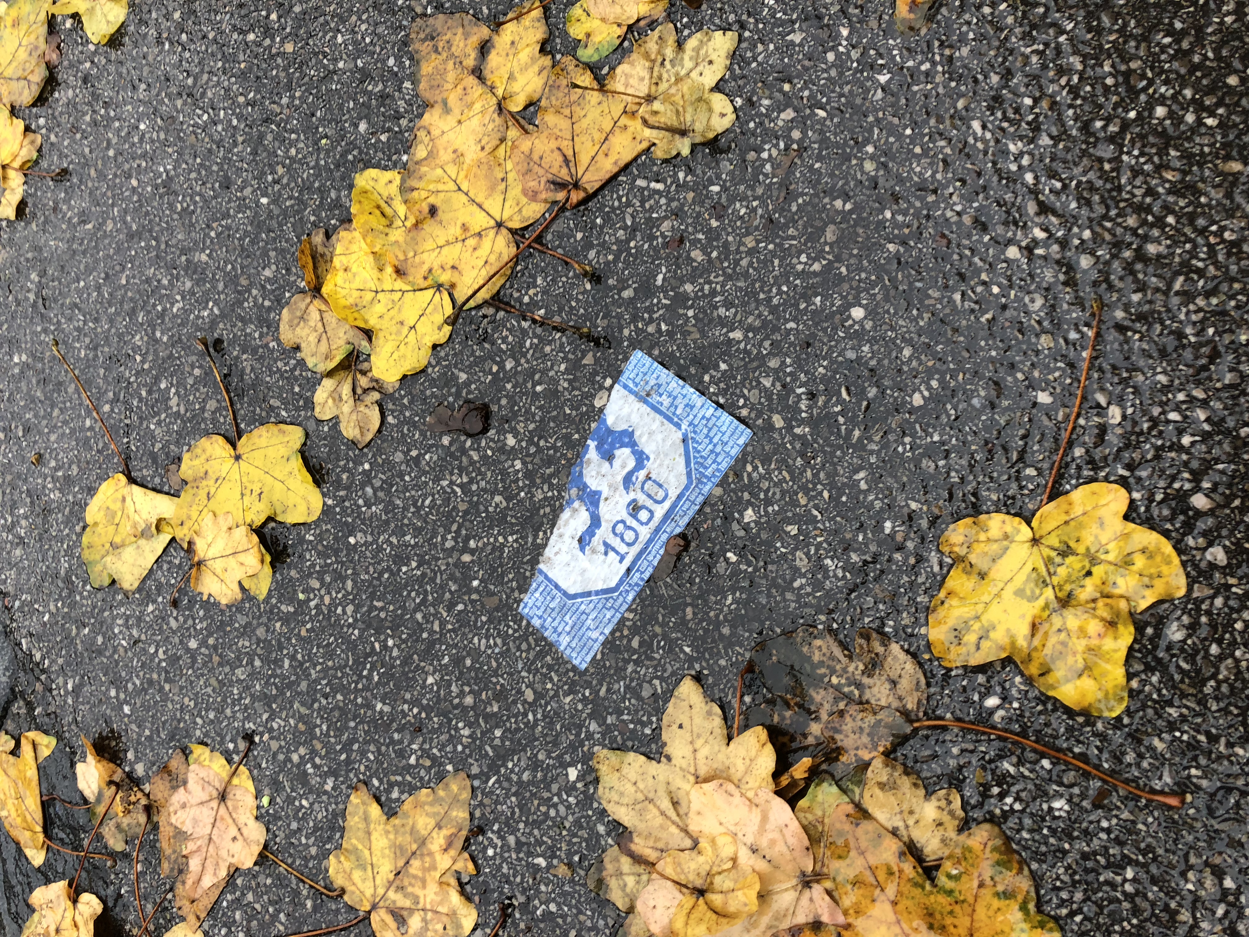 Halbwissen übers Wichsen